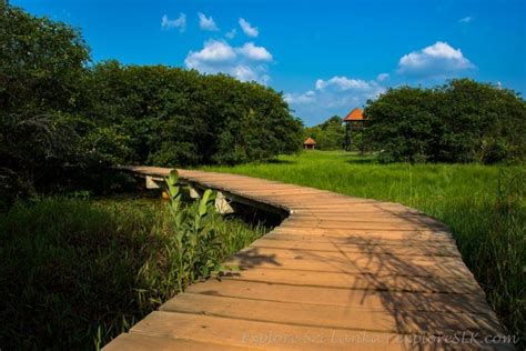  De Verborgen Schoonheid van het Tongliao Wetlands Park!